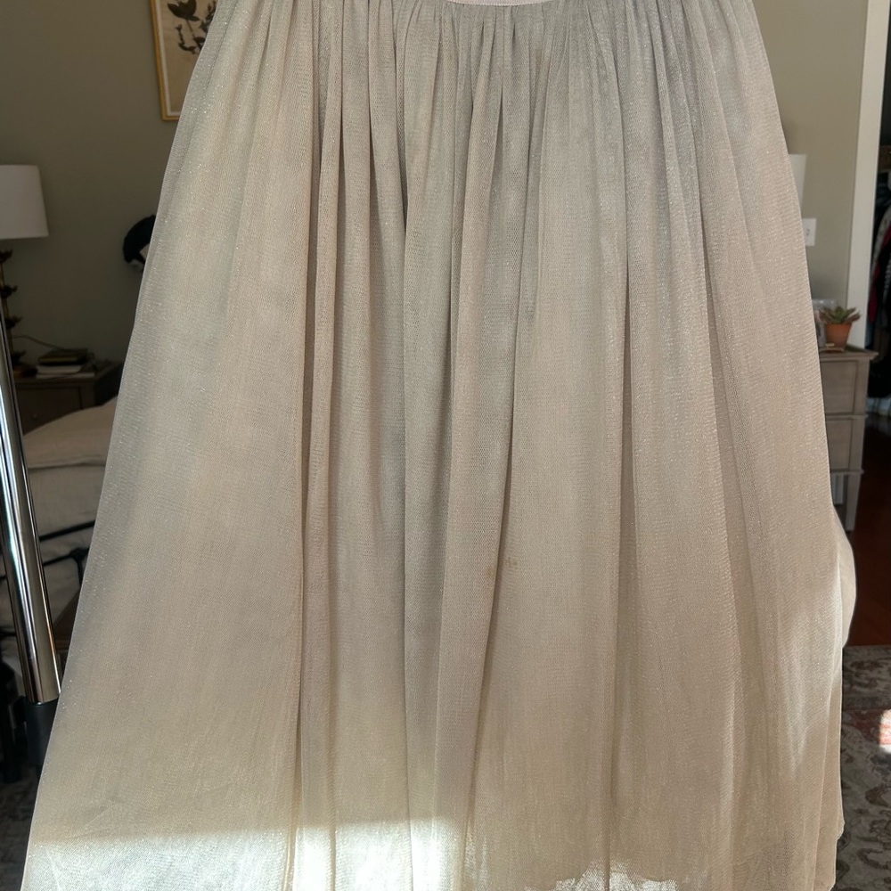 Absolutely beautiful tulle Skirt